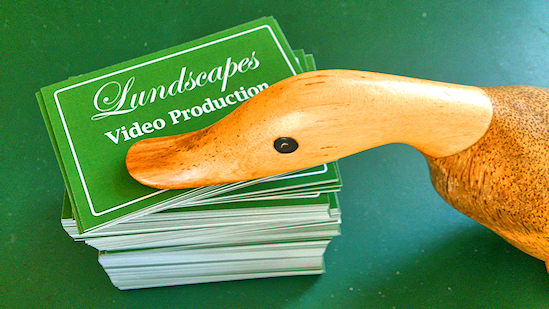 A small wooden duck, named Marigold, with his head on a pile of our green business cards!